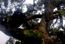 Payment Crisis Leaves Community Health Extension Workers in Rukungiri District Struggling