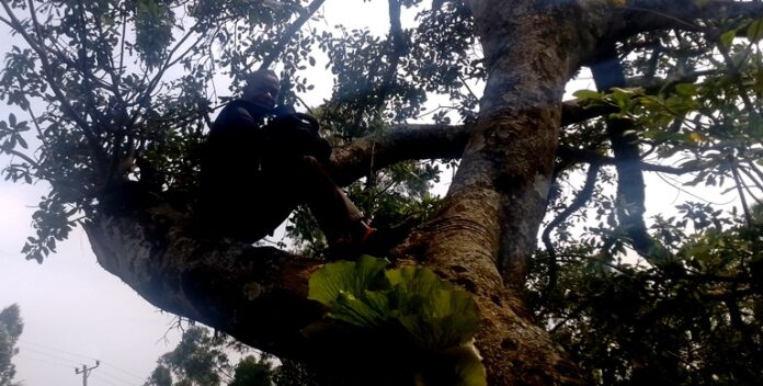 IMG_20251204_111418_368