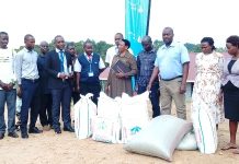 Centenary Bank Rukungiri Branch Donates Food to Bikurungu Seed School