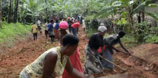 Residents use community service to renovate poor roads in Rukungiri.