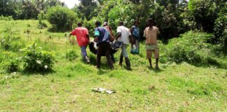 Missing Rukungiri boy found dead, body dumped in swamp