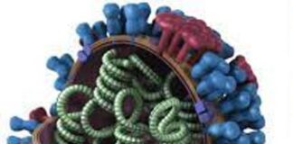 JUST IN! Government Confirms Influenza Outbreak in Schools