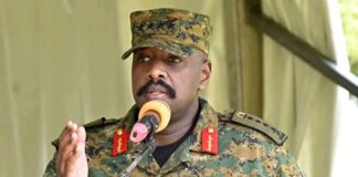 Uganda to confront US ambassador over disrespect, says Kainerugaba