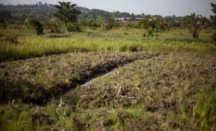 Section of a wetland