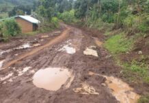 Buyanja residents decry deteriorating state of Kafunjo–Buhandagazi Road