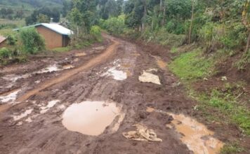 Buyanja residents decry deteriorating state of Kafunjo–Buhandagazi Road