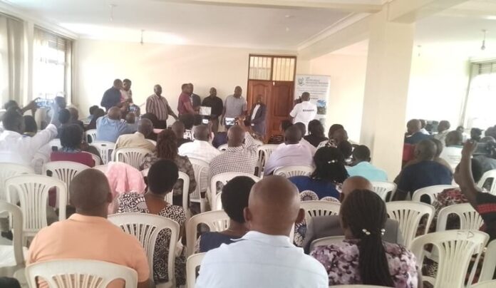 IMG_20250925_124524_885