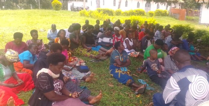 IMG_20251008_123532_353