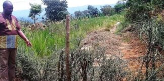 Resident blocks access route to Bikurungu Seed School, students left in limbo