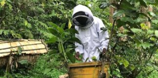 Empowering Beekeepers in Rukungiri: A Sweet Opportunity for Growth