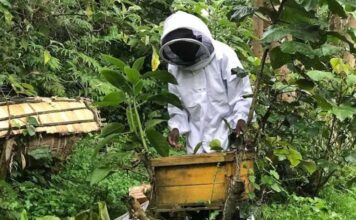 Empowering Beekeepers in Rukungiri: A Sweet Opportunity for Growth