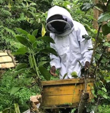 Empowering Beekeepers in Rukungiri: A Sweet Opportunity for Growth