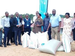 Centenary Bank Rukungiri Branch Donates Food to Bikurungu Seed School