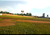 Rukungiri Primary Schools Face Stadium and Sports Support Challenges, Headteachers Cry Out